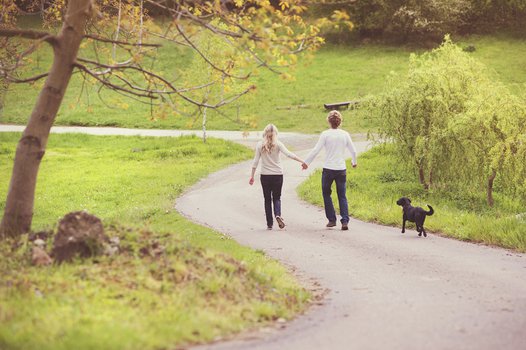 Young beautiful couple taking a walk in green park