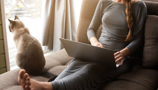 Young woman with braid sitting at home on the couch by the window with a laptop and her cat looking out the window